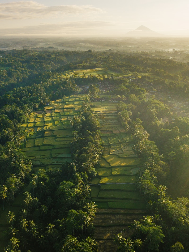 Aerial view of a tropical destination at sunrise
